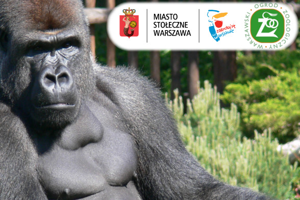 Baner reklamowy 3