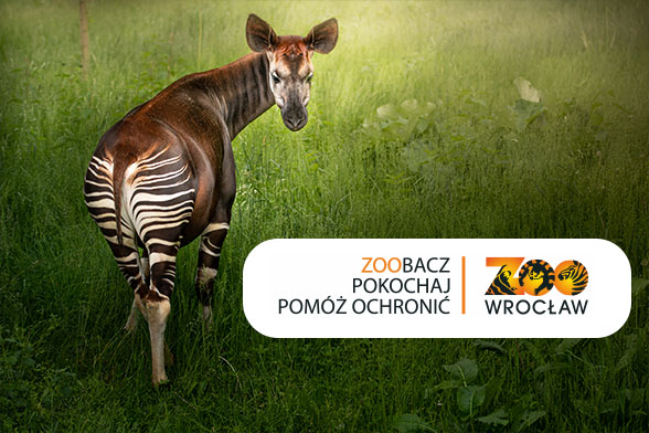 Baner reklamowy 4